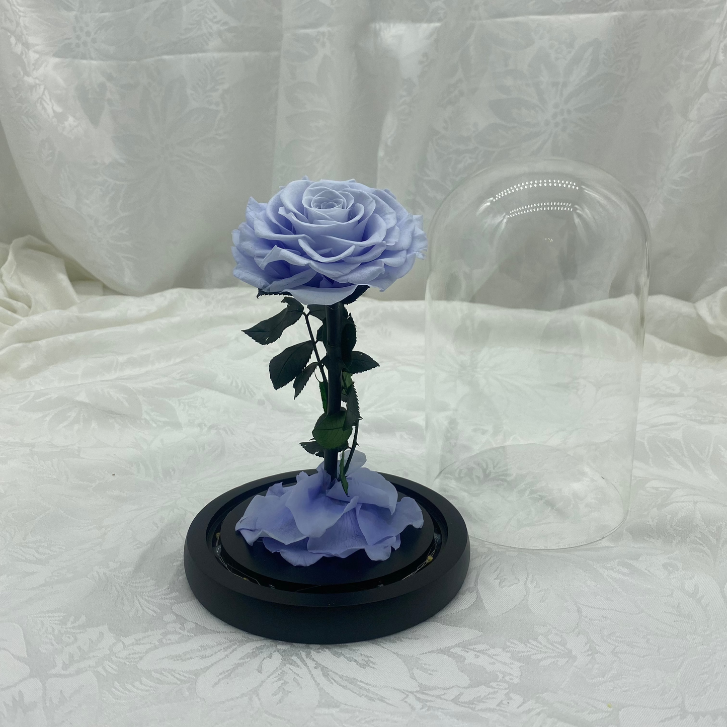 Periwinkle Dome, 25cm