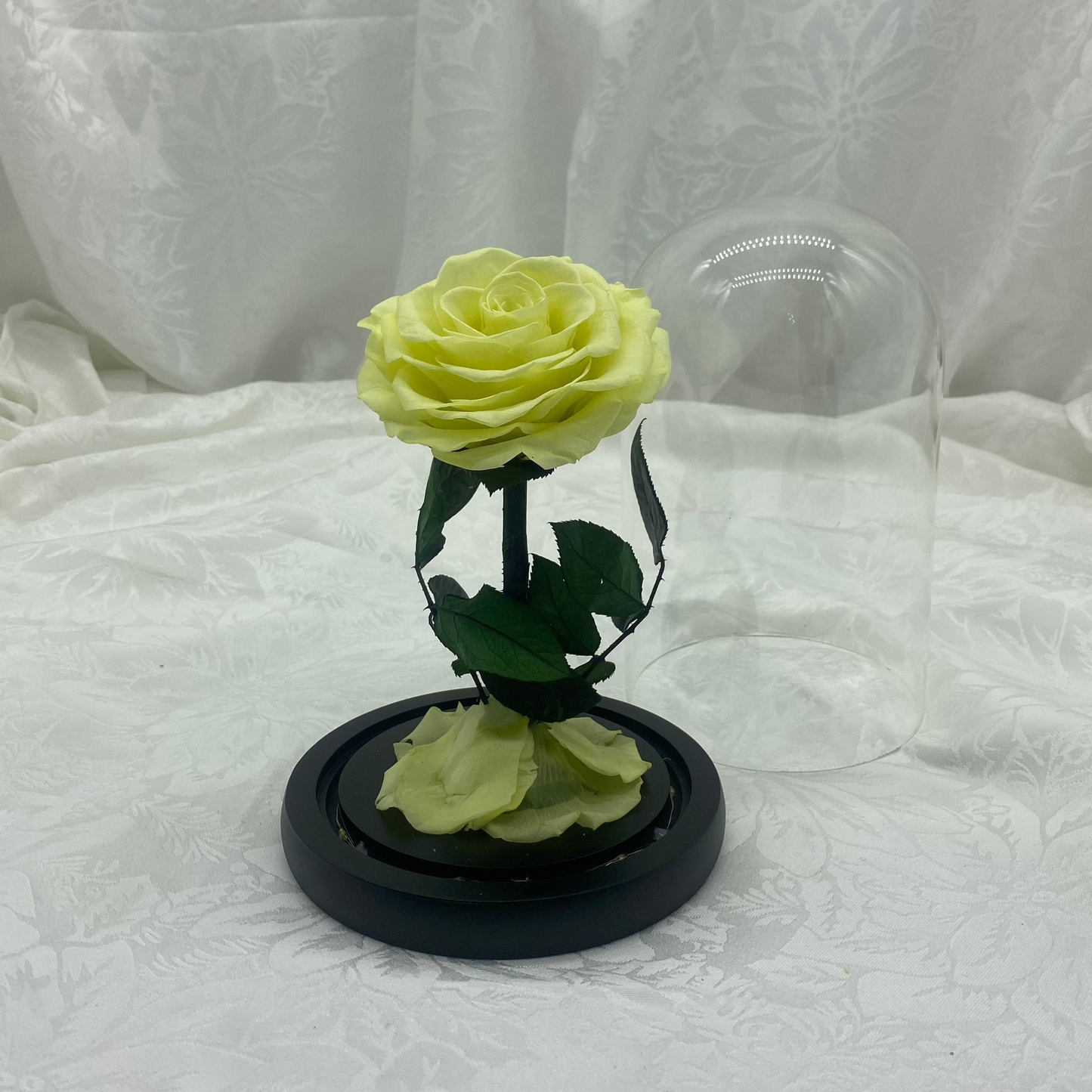 Lemon Dome, 25cm