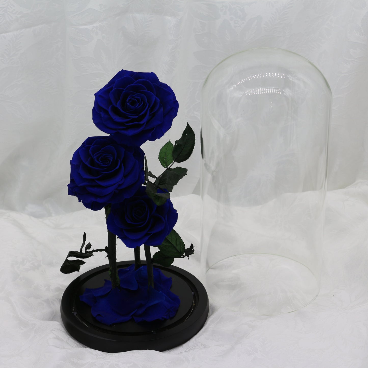 Large Midnight Dome, 40cm