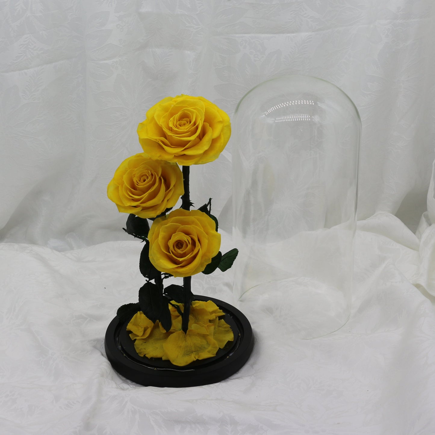 Large Sunbeam Dome, 40cm