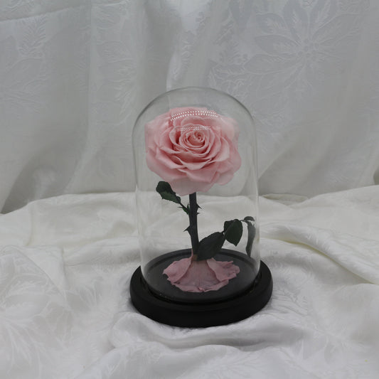 Blush Dome, 25cm
