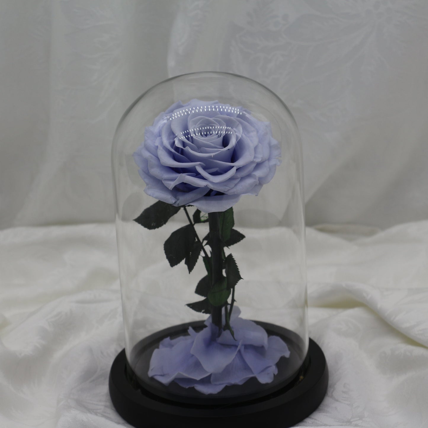 Periwinkle Dome, 25cm