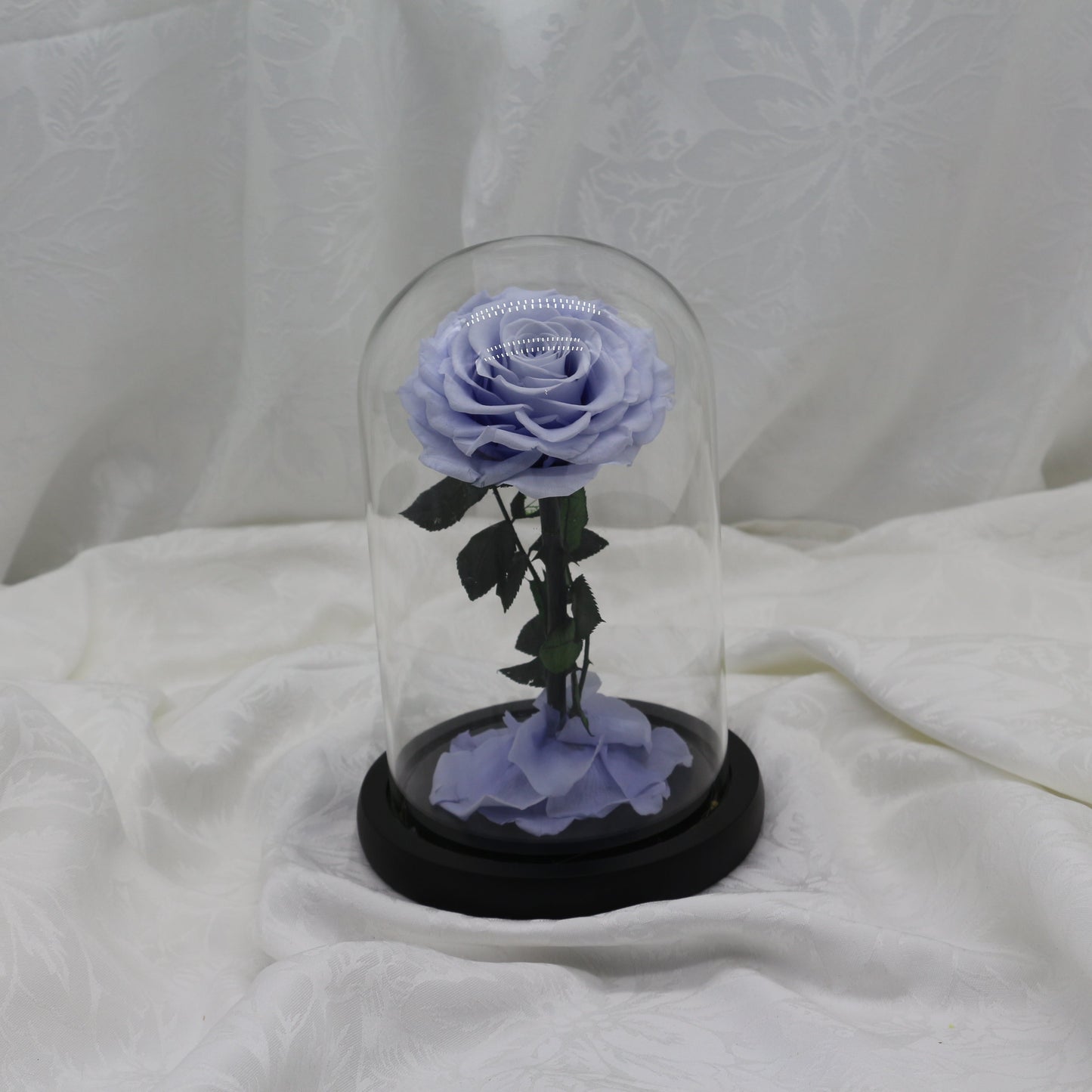 Periwinkle Dome, 25cm