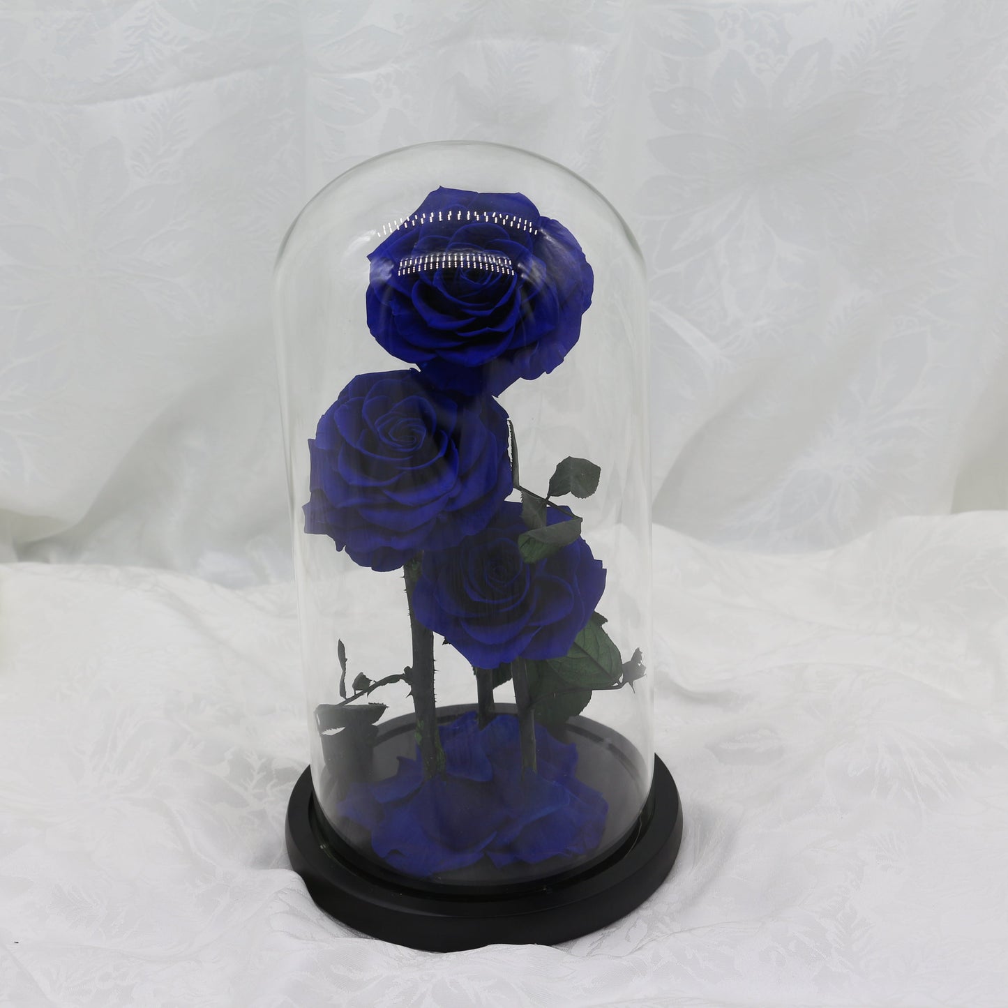 Large Midnight Dome, 40cm