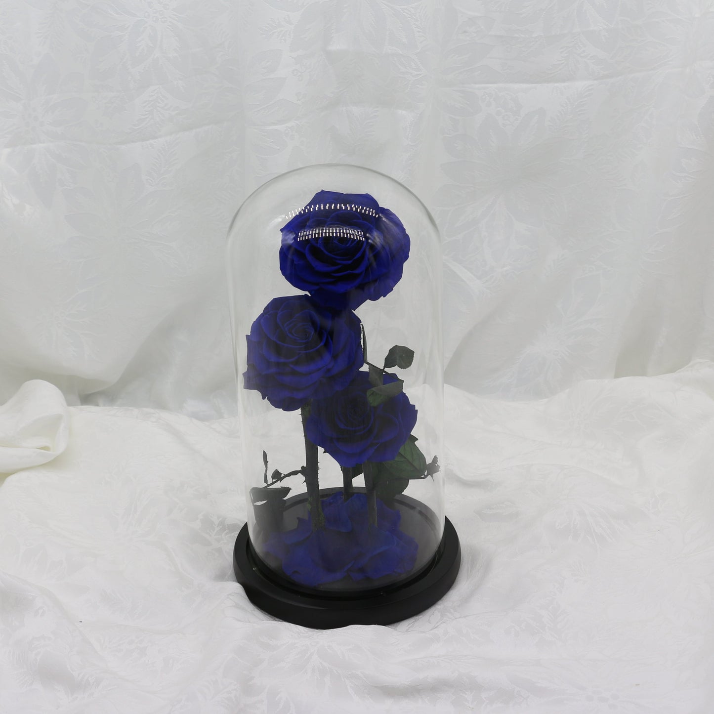 Large Midnight Dome, 40cm