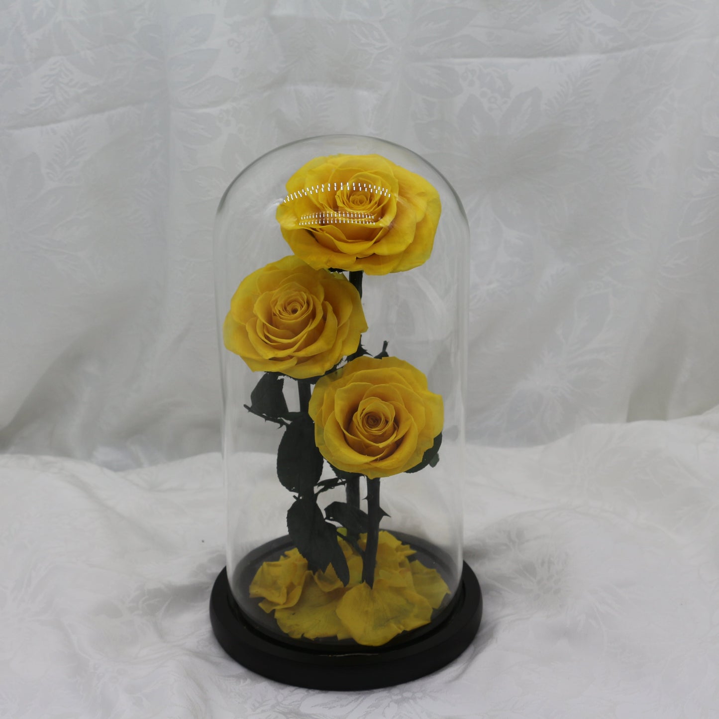 Large Sunbeam Dome, 40cm