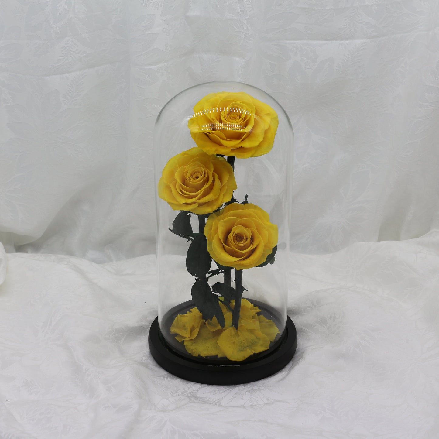 Large Sunbeam Dome, 40cm